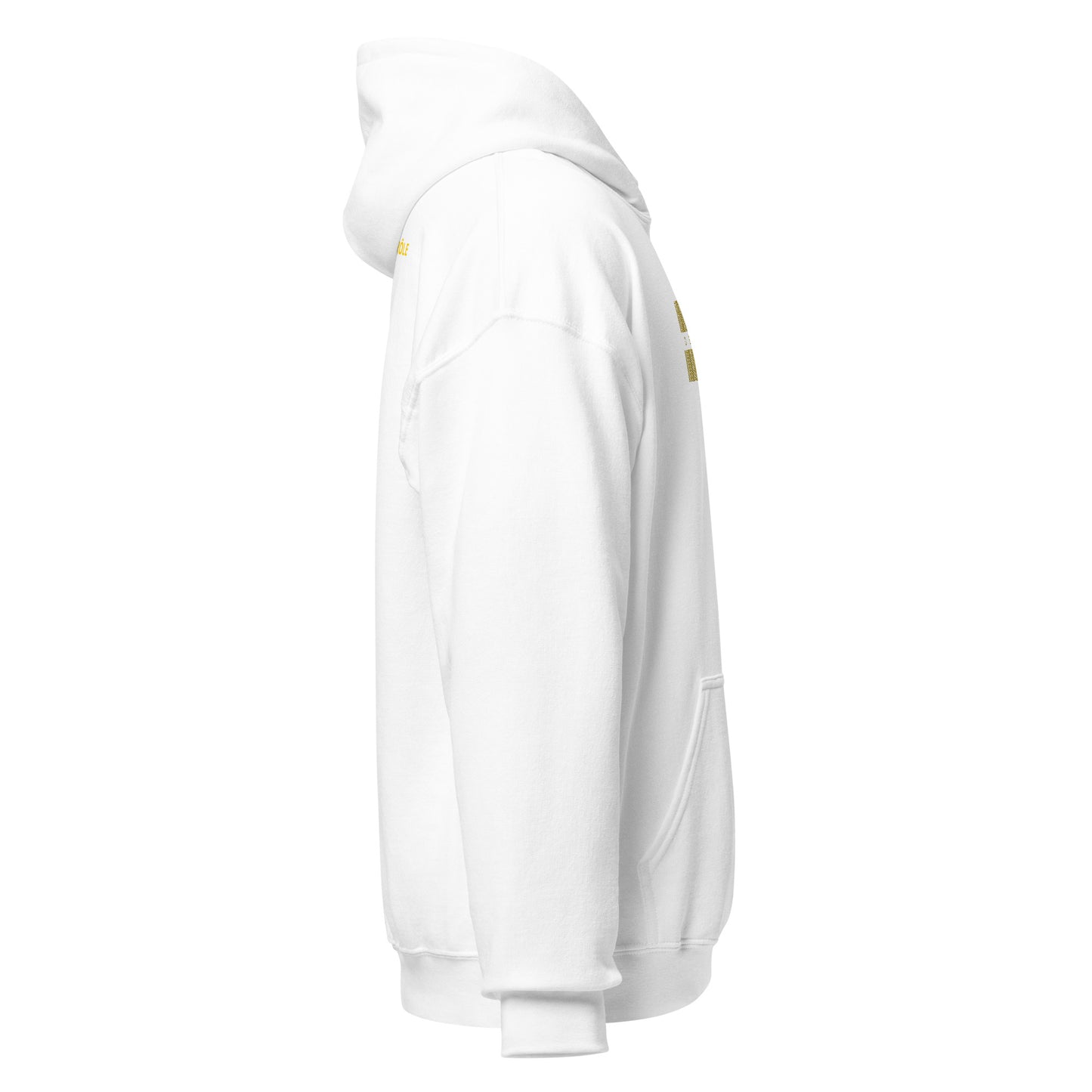Sweat à capuche